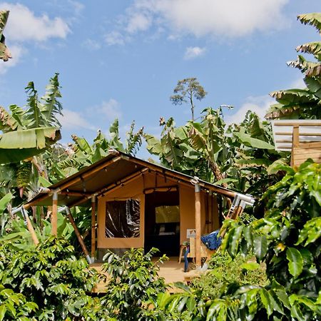 Готель Glamping Хардін Екстер'єр фото